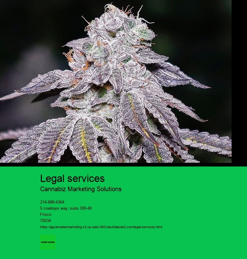 digital cannabis marketing